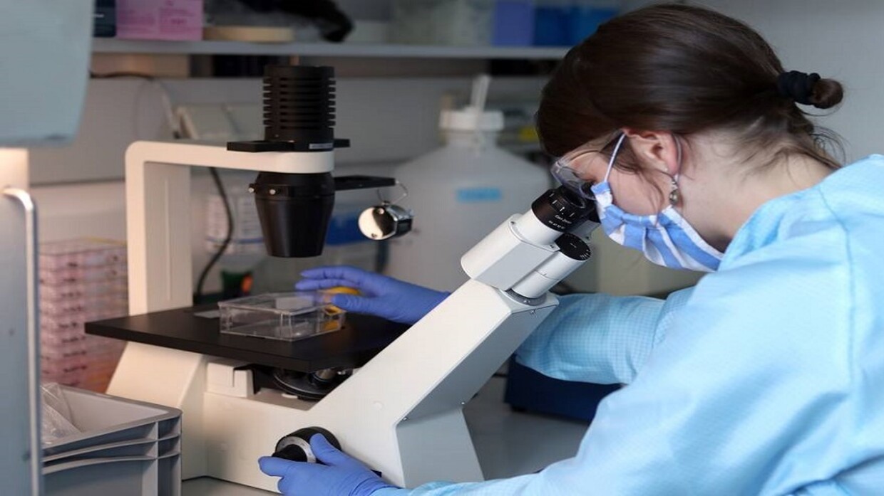 إسفنجة نانوية" مبتكرة لتنقية المياه من المعادن والأسمدة