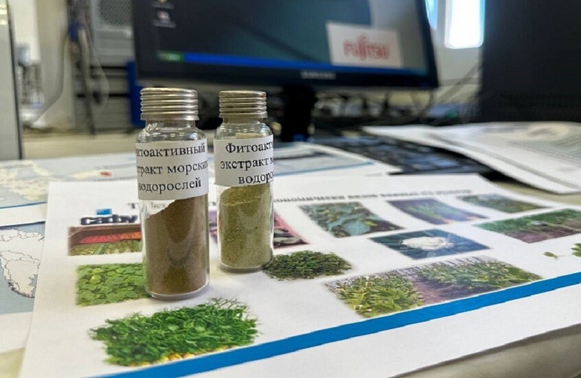 الطحالب قابل للتحلل البيولوجي