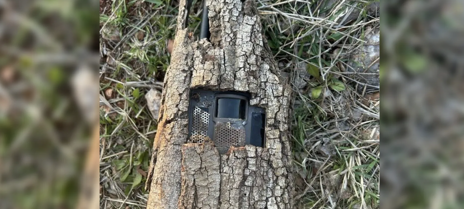 الجيش اللبناني يعثر على أجهزة تجسس إسرائيلية داخل الاشجار