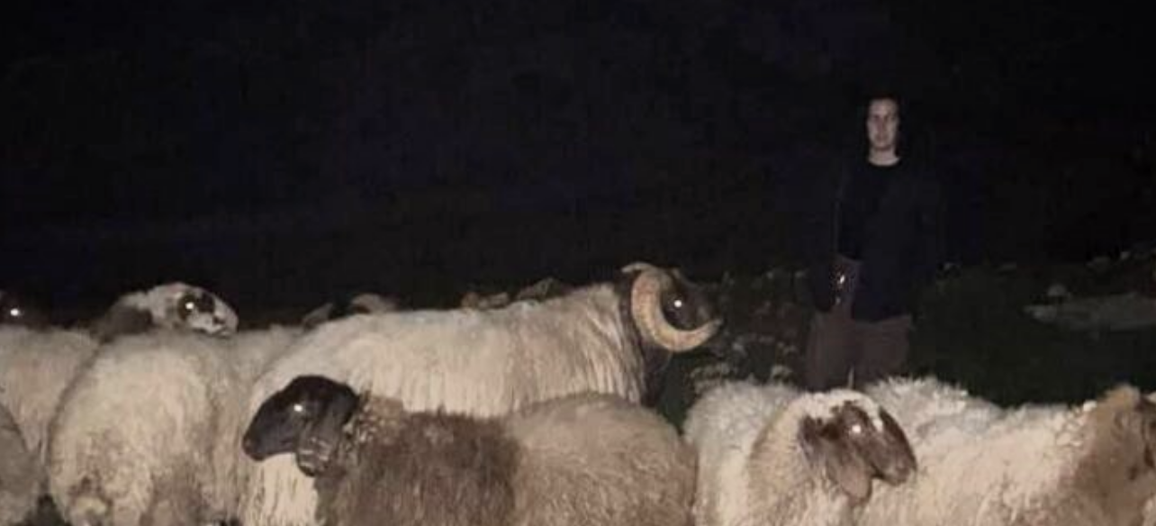 "ارحلوا".. رسالة بدماء الأغنام