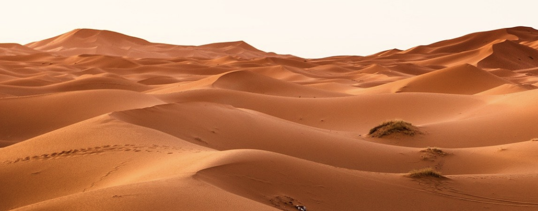 الربع الخالي.. أدلة علمية عن حالته قبل 9 آلاف سنة