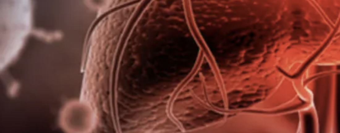 إنجاز علمي جديد في تجديد الكبد وعلاج أمراضه