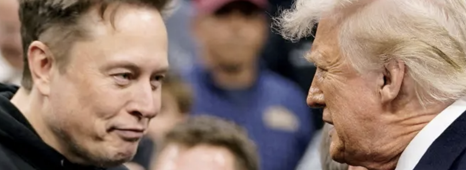 إيلون ماسك يغادر منصبه بالحكومة الأميركية.. ويشكر ترامب