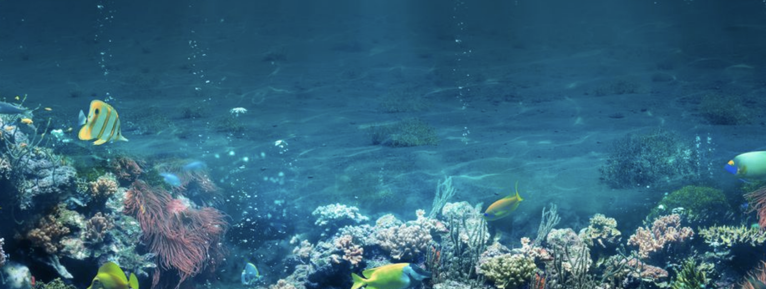 دراسة: درجة احترار المحيطات أسوأ مما كان يعتقد