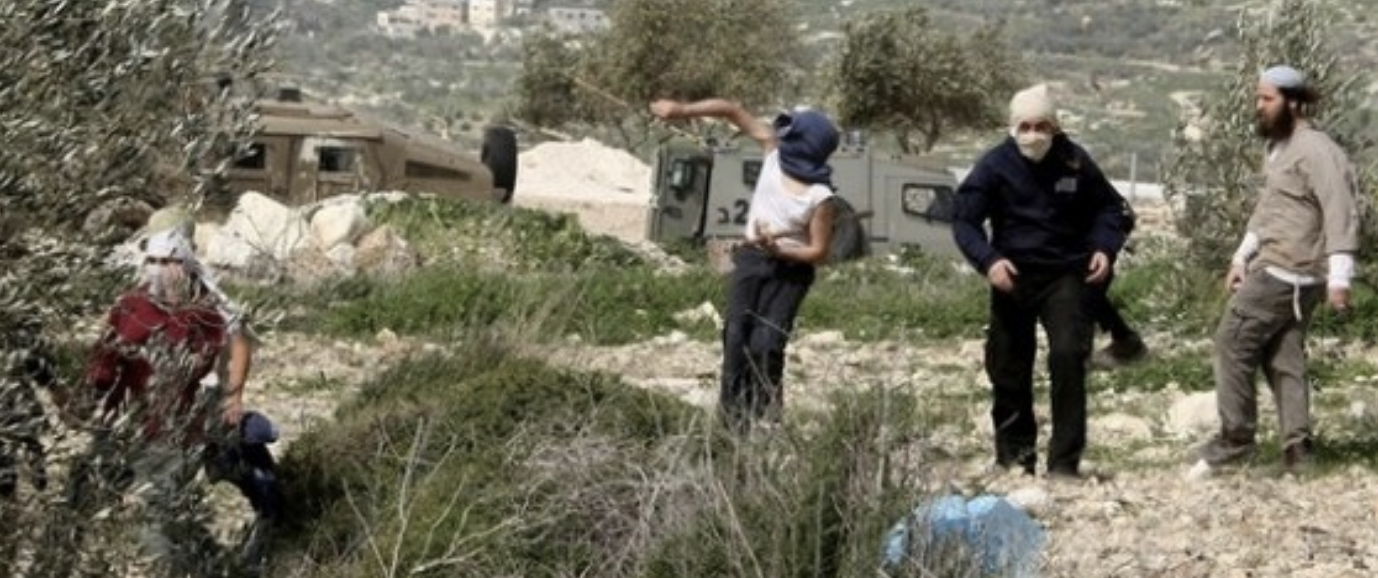 3 إصابات بالرصاص الحي في هجوم للمستعمرين على المزرعة الشرقية