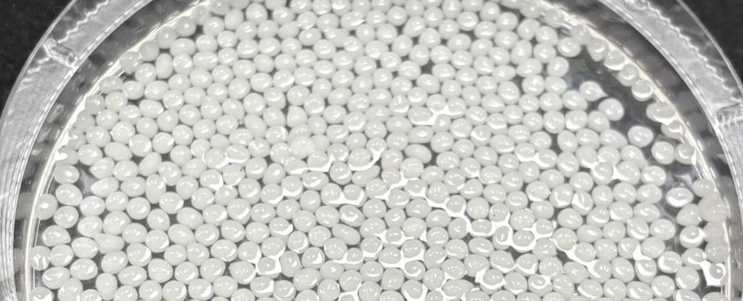 اكتشاف صيني.. مادة نباتية تثبت فعاليتها في إنقاص الوزن