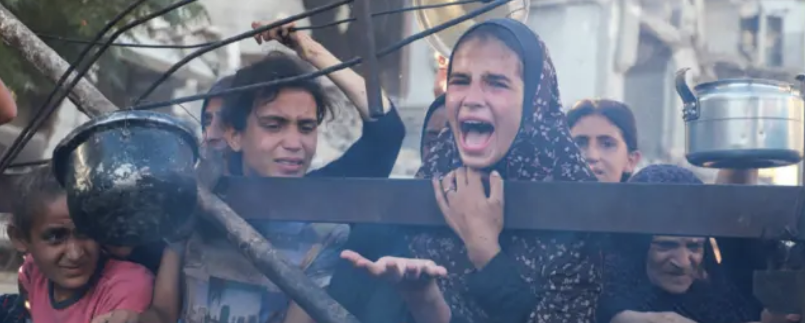 6 وفيات نتيجة التجويع في غزة خلال الساعات الـ24 الماضية