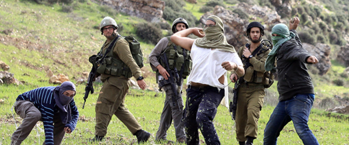 مستعمرون يهاجمون قاطفي الزيتون في عدة محافظات بالضفة