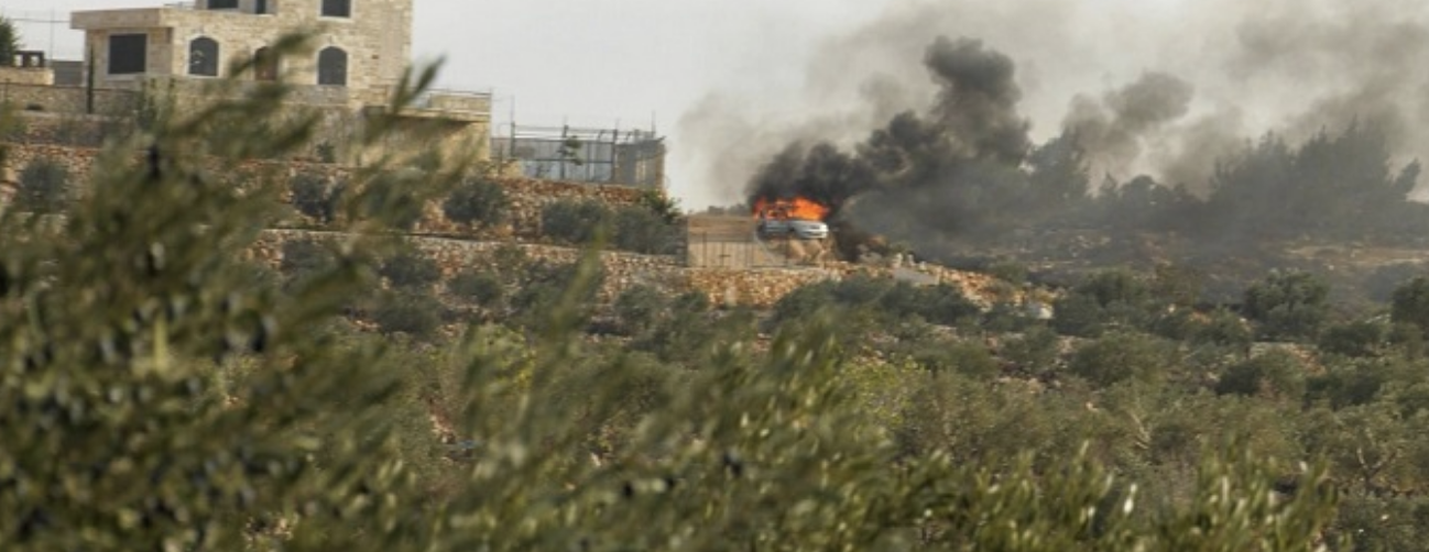 مستعمرون يهاجمون قاطفي الزيتون في ترمسعيا