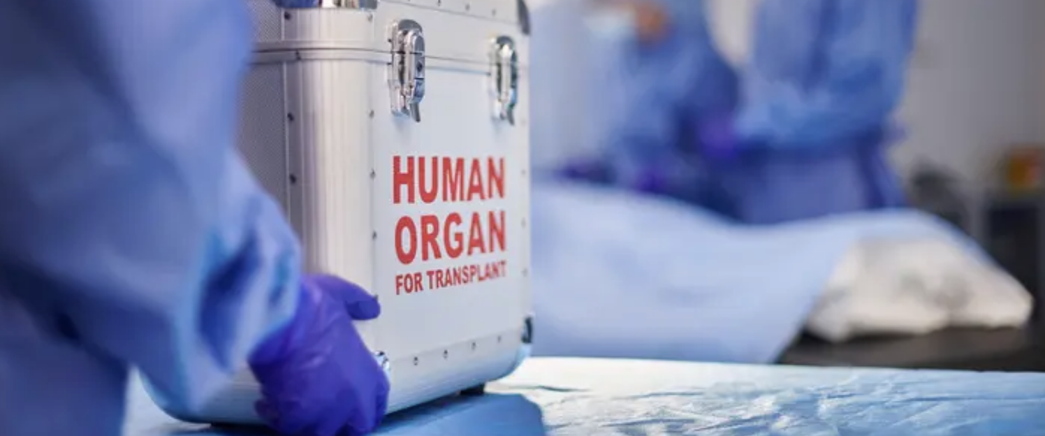 زراعة الأعضاء والخلود.. حلم بوتين وشي أم خيال علمي؟