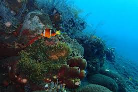 رحالة عراقي يكتشف سرًا غارقًا منذ الحرب العالمية في أعماق بالي