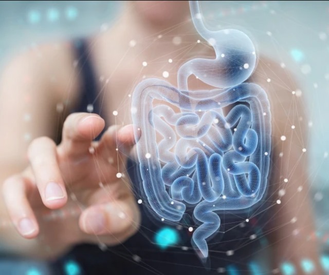 لغة الأمعاء... إشارات لا يجب تجاهلها