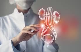 أوزمبيك وويغوفي… أمل لمرضى الكلى