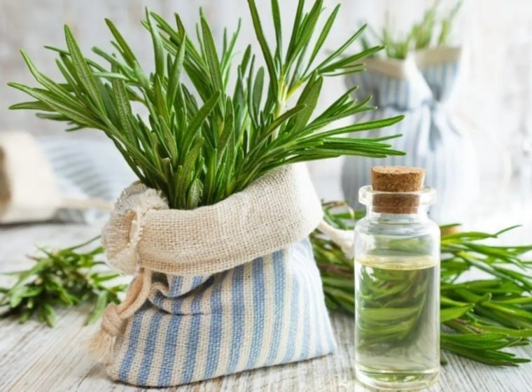 روائح طبيعية تمنح نشاطًا بلا كافيين