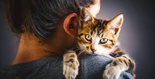 كيف ترى الحيوانات العالم بعيون مختلفة؟