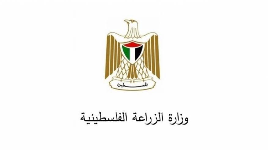 وزارة الزراعة: ارتفاع نسبة غش الزيت من 1% إلى 4% بعد فحص 1900 عينة