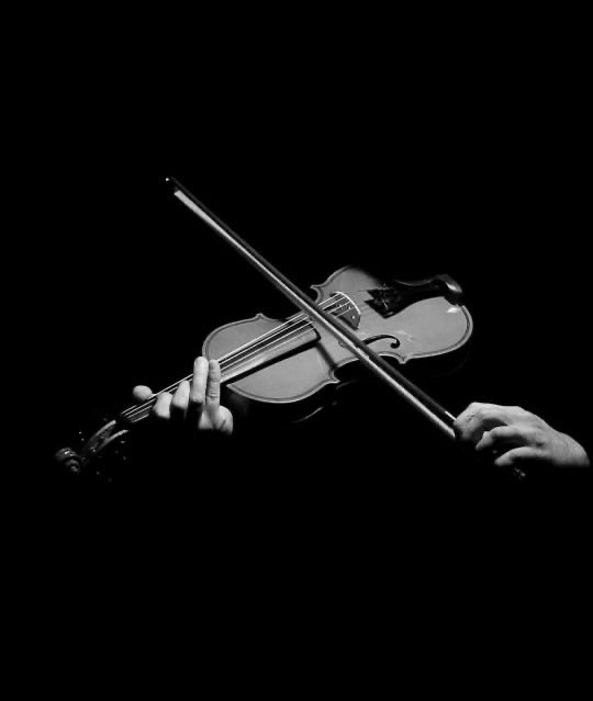 الموسيقيون المنفردون أكثر عرضة للوفاة المبكرة