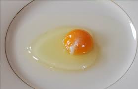 صفار البيض.. أكبر "احتيال" غذائي مكشوف