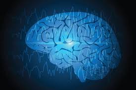 المخ يتغير خمس مرات خلال العمر