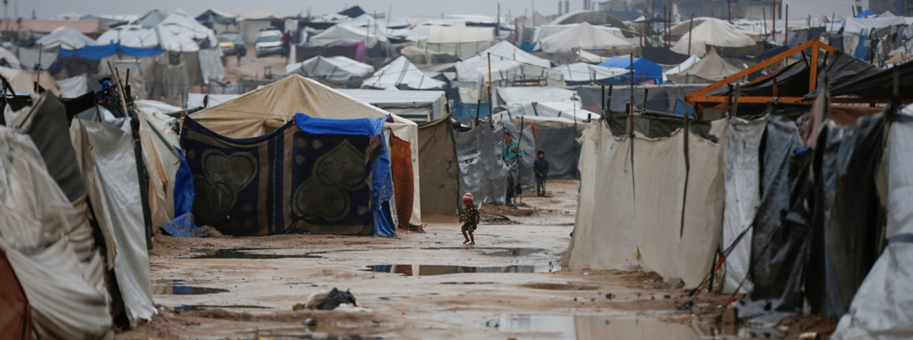 14 شهيدا في غزة بردا وغرقا وقرار أممي يطالب إسرائيل بإدخال المساعدات فورا