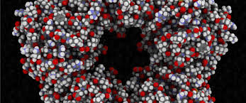 لغز جديد في الخلايا&hellip; بروتين واحد قد يغيّر فهمنا للسرطان