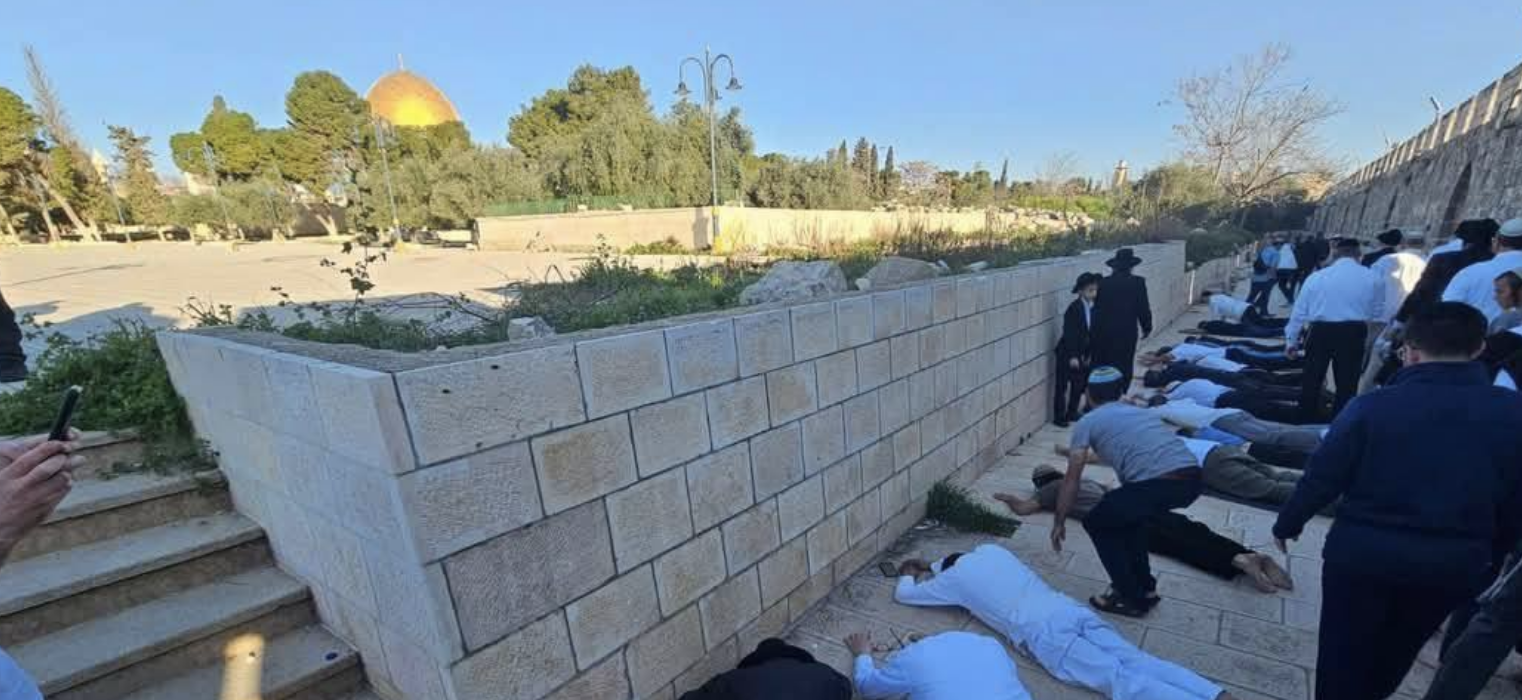 مستعمرون يقتحمون الأقصى في خامس أيام "الأنوار العبري" ويؤدون السجود الملحمي