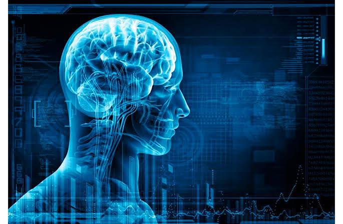 أنشطة الفراغ قد تحدد صحة الدماغ