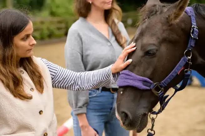 جلسة مع الخيل.. علاج بلا كلام