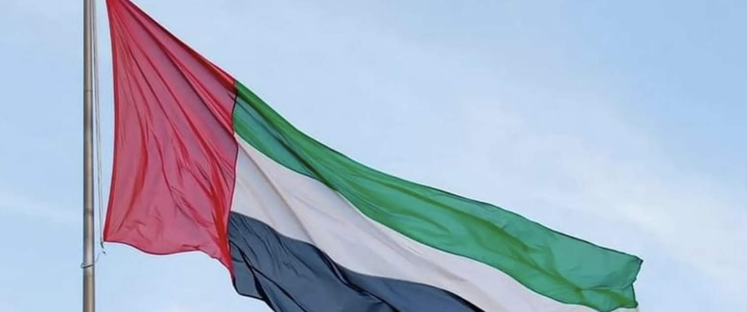 بيان دولة الإمارات بشأن الأحداث الجارية في اليمن