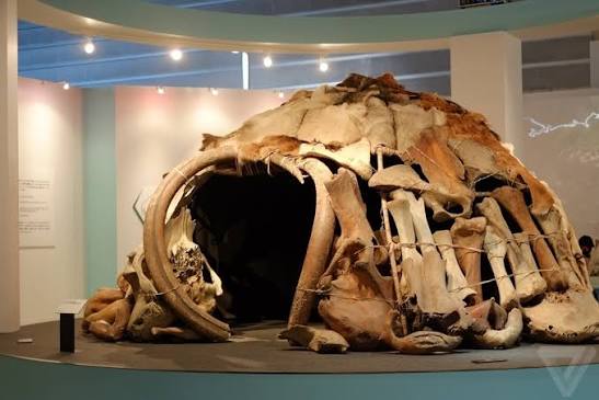 عظام الماموث تتحول إلى حوت