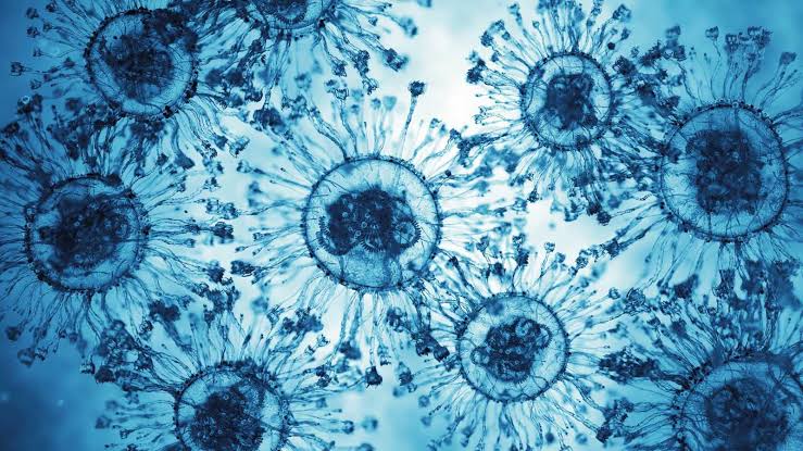 أمل جديد لعلاج الأمراض المزمنة