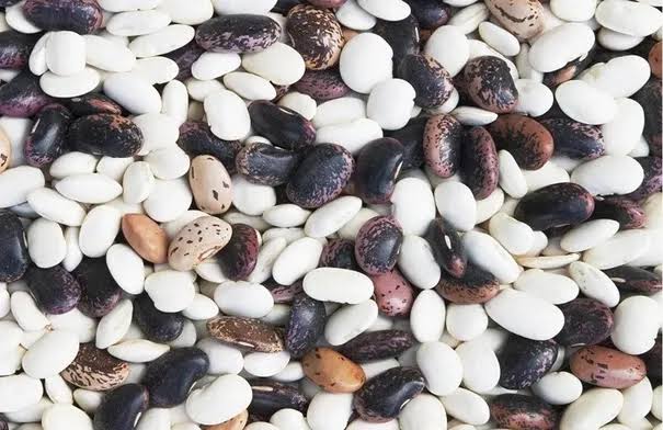 خمسة أنواع من الفاصوليا تطيل العمر