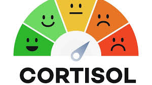 الكورتيزول بين العلم والـترند