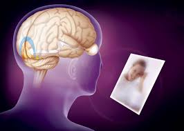 الدماغ يعيد تشكيل الذكريات للتكيف مع البيئة