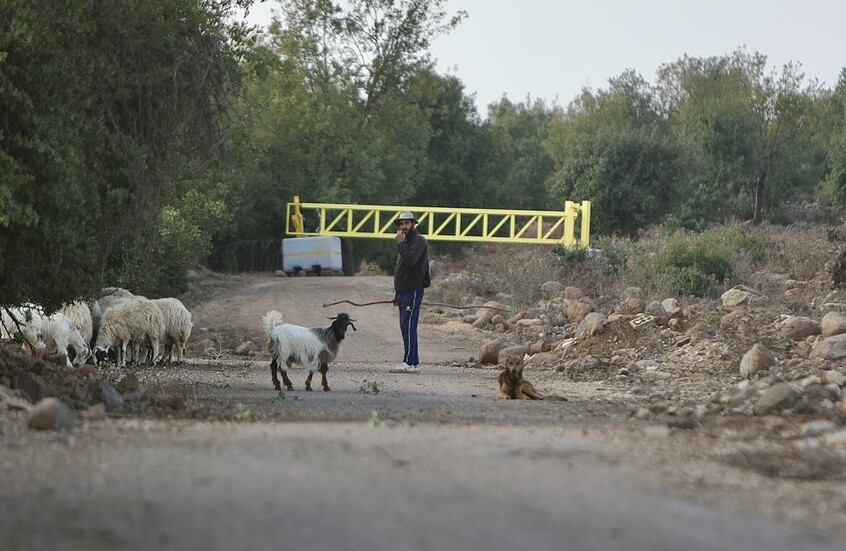 الكشف عن نتائج رش إسرائيل أراضي سورية بالمبيدات