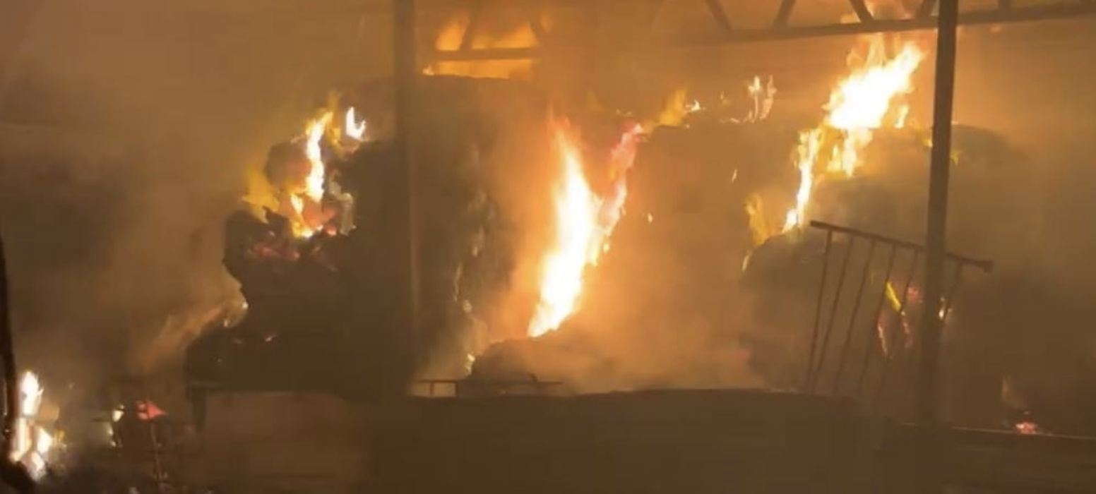 مستعمرون يحرقون خياما في منطقة الميتة بالأغوار الشمالية