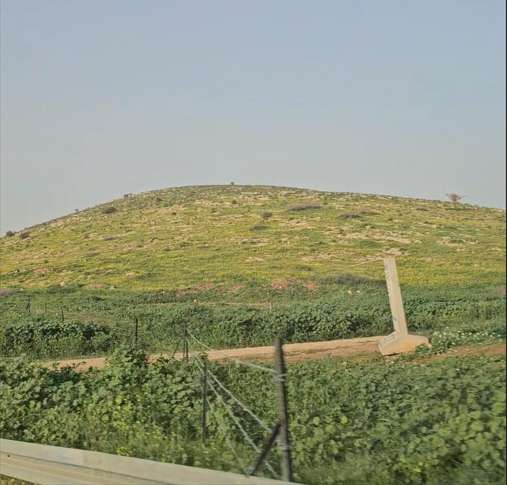 بعد اجبار 6 عائلات على الرحيل.. مستعمرون يسيّجون 1500 دونم في الأغوار الشمالية