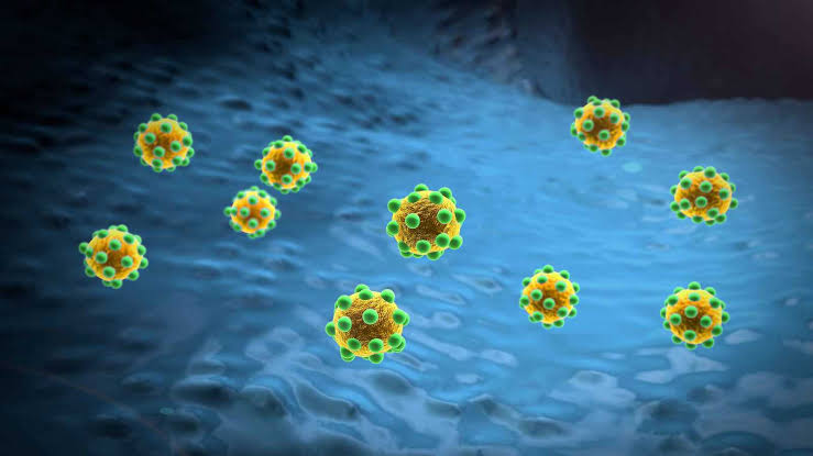 اكتشاف ناقل جديد للأحماض الصفراوية