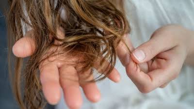 هل يكشف الشعر أسرار باركنسون؟