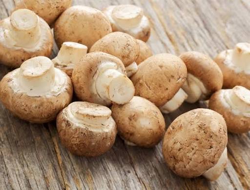 كيف يتحول الفطر العادي إلى مصدر لفيتامين د؟