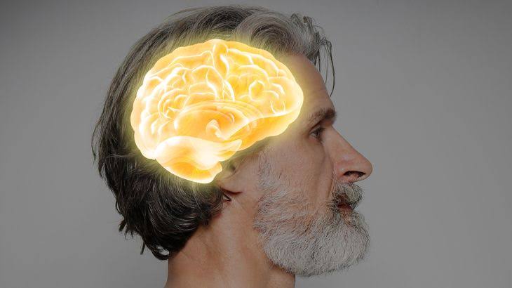 هل يواصل الدماغ إنتاج خلايا جديدة مع التقدم في العمر؟