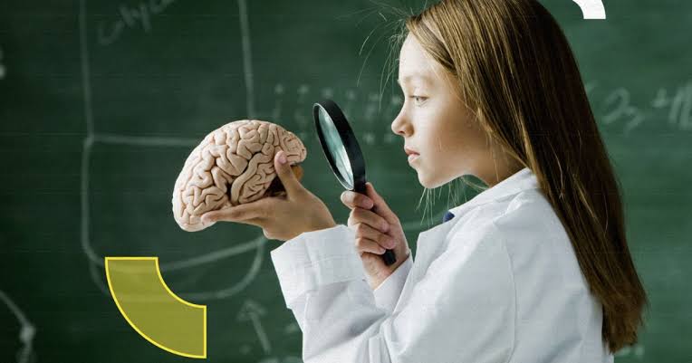 هل يستطيع الدماغ حقًا إنجاز مهمتين معًا؟