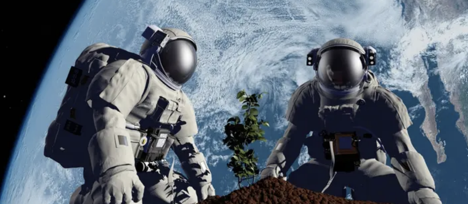 العلم اقترب من زراعة الحمص على القمر