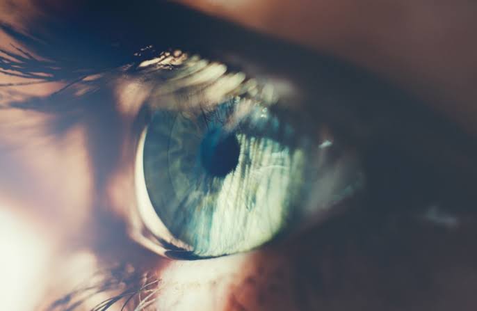 هل تنقذ قشور الأسماك عيون البشر؟