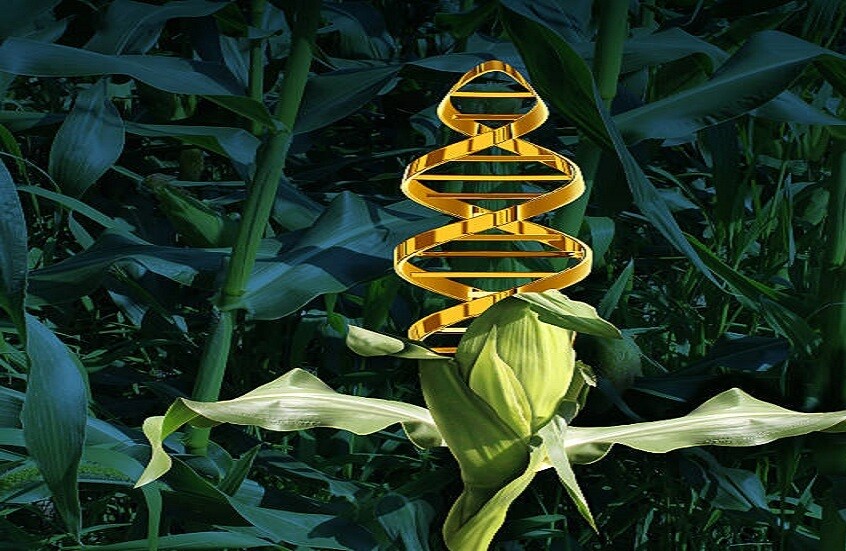 خطوة علمية تغيّر مستقبل الزراعة