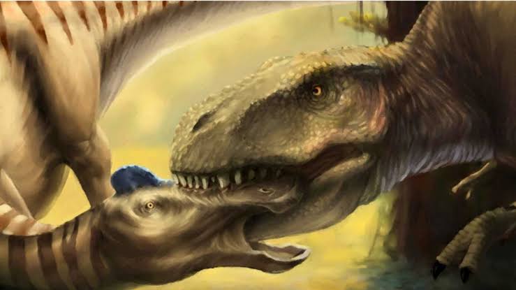 أدلة نادرة على تغذية الديناصورات العملاقة