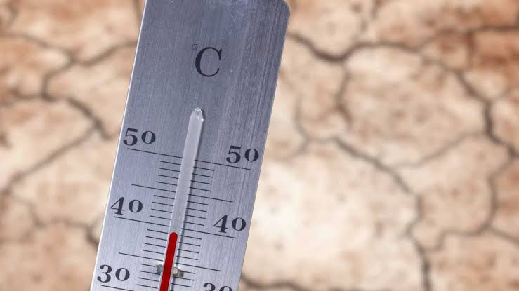 هل تتحول الحرارة المرتفعة إلى قاتل صامت بحلول 2050؟
