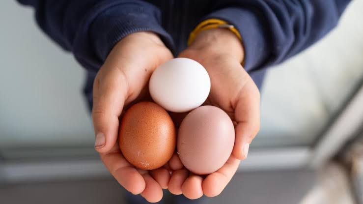 كيف تختار البيض الأكثر صحة؟