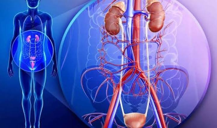 التهابات المسالك البولية مرتبطة بتدهور الذاكرة!