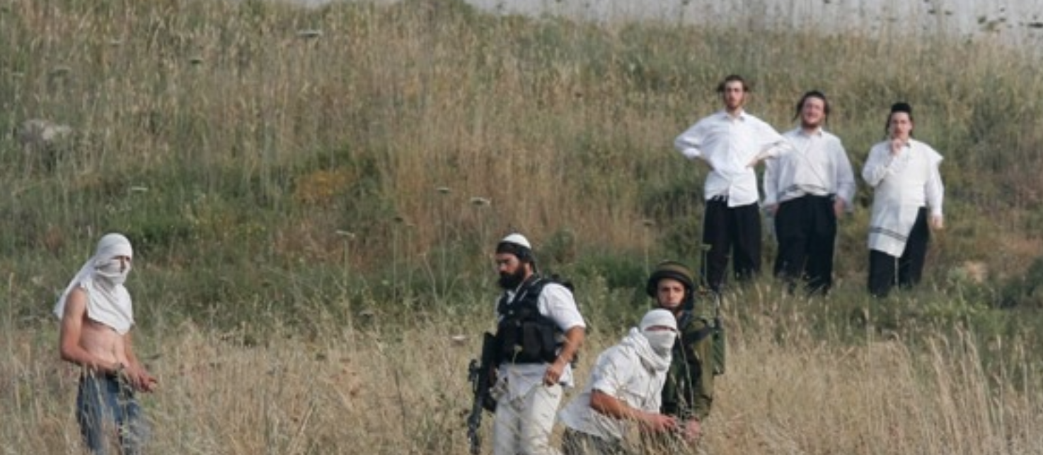 إصابات باعتداء مستعمرين على المواطنين شمال شرق طوباس